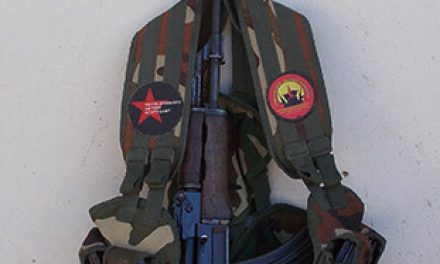 Grußbotschaft aus Rojava