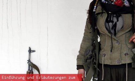 Report Rojava – Buchvorstellung mit dem Revolutionären Aufbau Schweiz